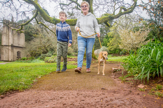 A Grand Day Out in Cockington