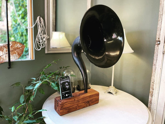 Unveiling the Art of Sound: The Harmony of Acoustic Speakers and MooBoo Home's Unique Craftsmanship - MooBoo Home